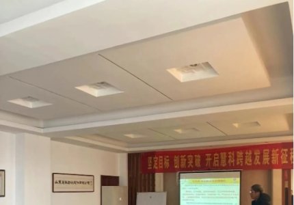 公司聘請金藍(lán)盟項目組進(jìn)行咨詢和培訓(xùn)